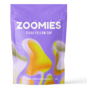 Texas Yellow Cap | Shrooms For Sale Canada
