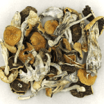 Full Moon Party | Shrooms For Sale Canada