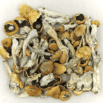 Orissa | Shrooms For Sale Canada