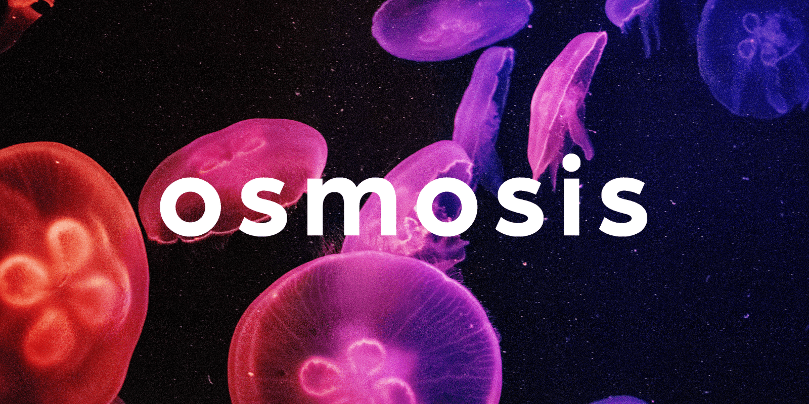 Zoomies osmosis banner | Shrooms For Sale Canada