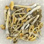 Trinity | Shrooms For Sale Canada