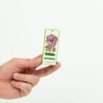 Wonder – Psilocybin Chocolate Bar – Dark Chocolate | Shrooms For Sale Canada