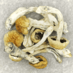 Chitwan Nepal | Shrooms For Sale Canada