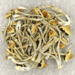 Hautla | Shrooms For Sale Canada