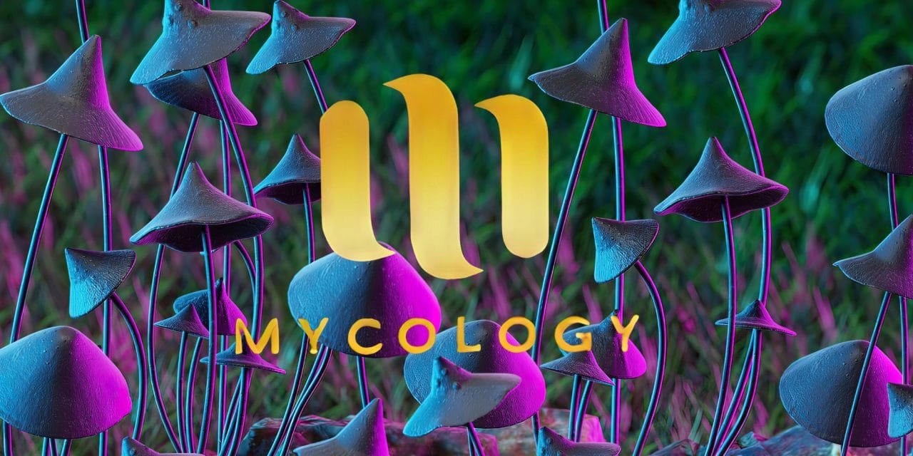 Zoomies Summer 2023 Banner - Mycology | Shrooms For Sale Canada