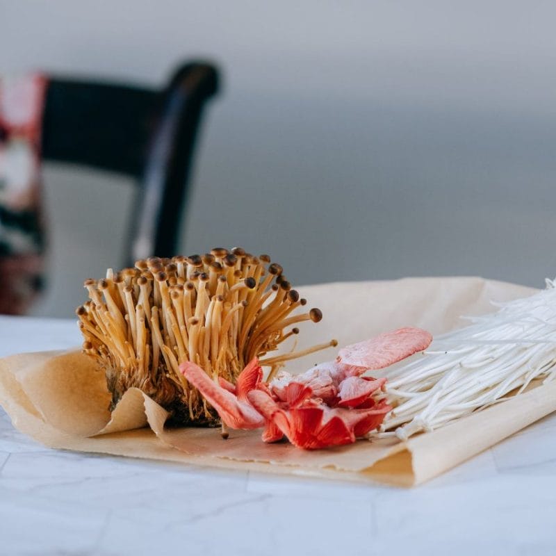 Buy Shrooms Online Canada (1) | Shrooms For Sale Canada