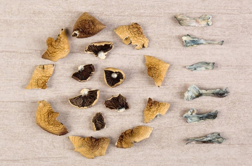 The Surprising Link Between Psychedelics and Improved Sex Magic mushroom Canada