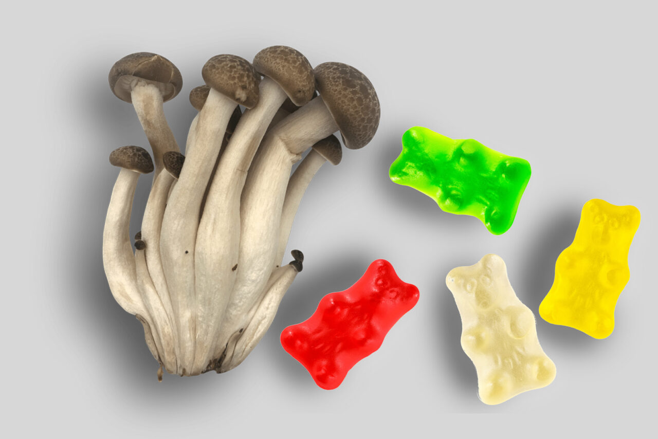 Top LSD edibles in Canada LSD-infused edibles