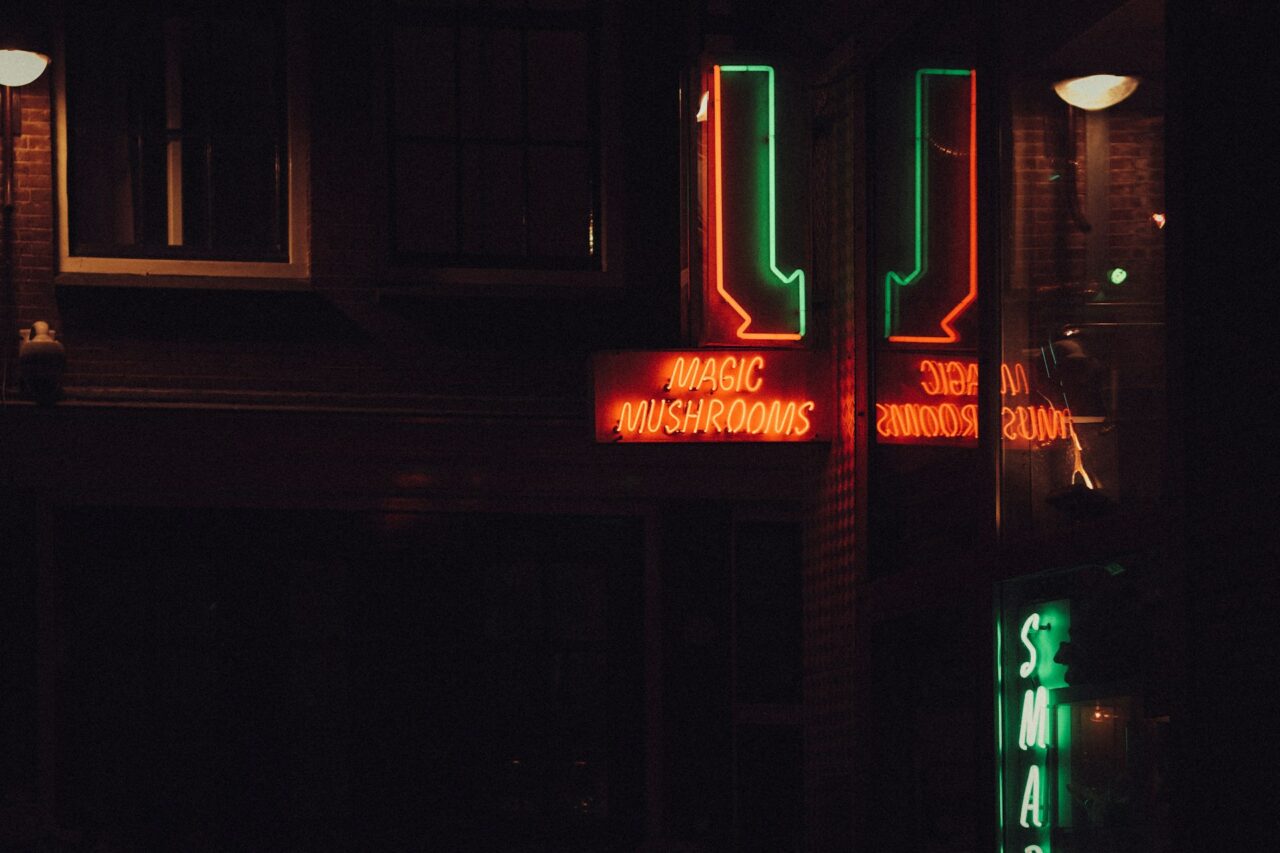 Vancouver’s Mushroom Dispensary – How Canada Is Bridging the Gap in the US Mushroom Surge?